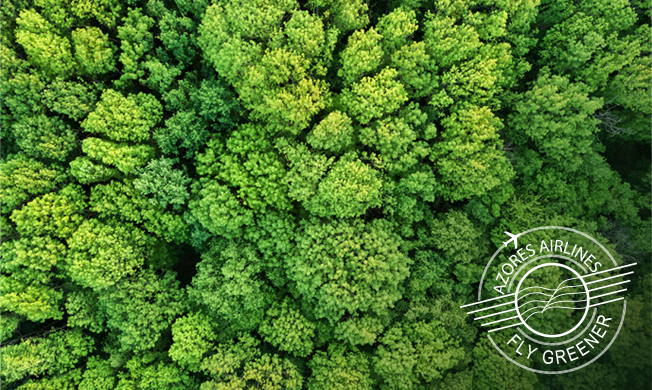Sustainable Nature